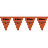 NBA Wilson Pennant Banner 1/CT
