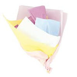 Assorted Pastel Tissue Sheets  10ct