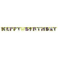 TMNT Mutant Mayhem Happy Birthday Jointed Banner