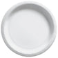 Large Paper Plates