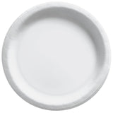 Large Paper Plates