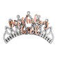 Birthday Girl Metallic Rose Gold Silver Tiara Hair Comb Crown Party B-Day