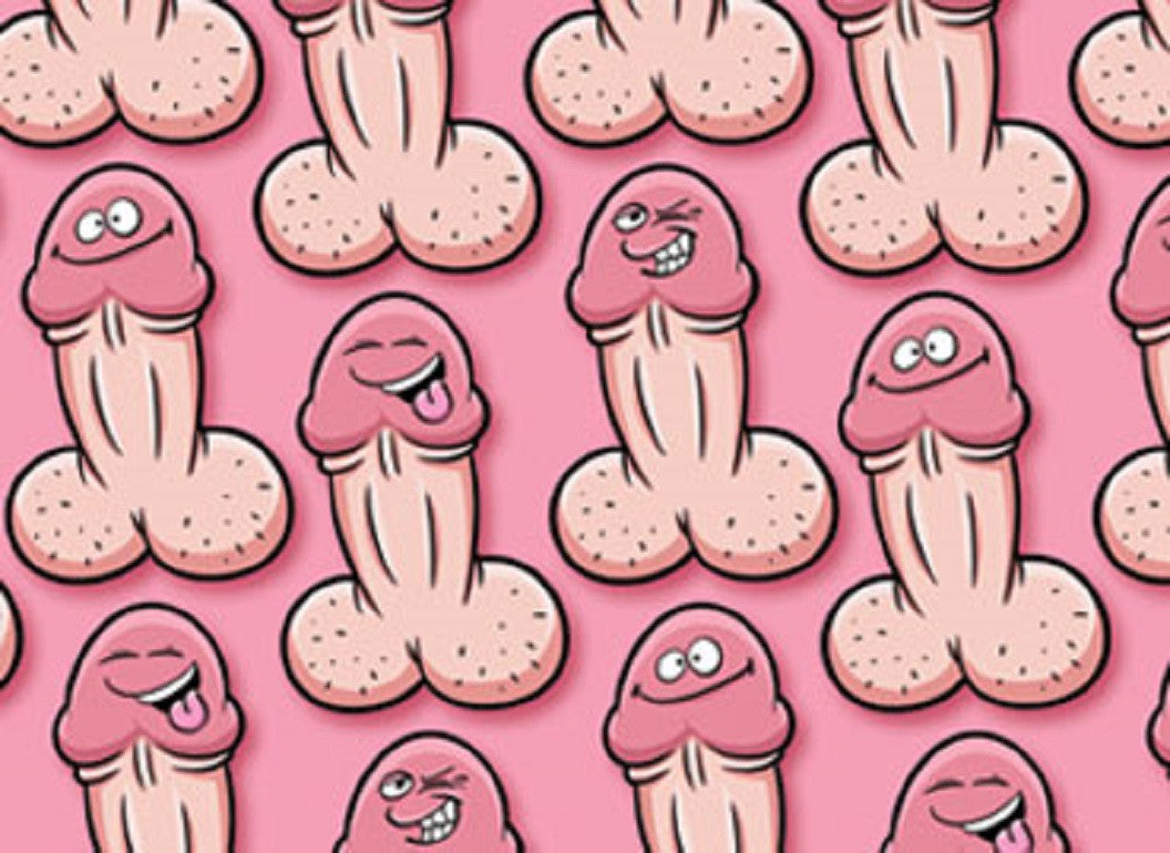 Cartoon Pecker Gift Wrap Wrapping Paper 1 Sheet Party Naughty Adult Novelty