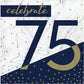 Navy & Gold Milestone 75th Birthday Lunch Napkins Paper 6.5" x 6.5" 16/CT