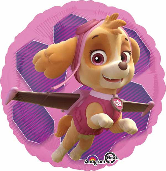 Skye & Everest 2 Sided Balloon