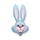 IN-STORE ONLY!!! Easter Belly BOX Bunny with Treats and Plushie