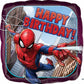 Spiderman DC Comics Hero Balloon