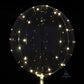LED Light Up Clear Balloon With Light Up String