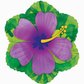 Anagram 18" Round Foil Mylar Balloon Tropical Purple Hibiscus Flower Luau