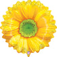 Yellow Daisy Flower 24" Foil Balloon