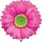 Pink Daisy Flower 24" Foil Balloon