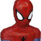 SpiderMan 3D Pinata - Party Supplies