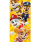 Paw Patrol Door Decoration Poster
