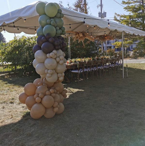balloon-garland